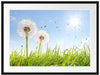 Pusteblumen auf Frühlingswiese Passepartout 80x60