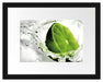 Limette fällt in Wasser Passepartout 38x30