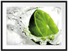 Limette fällt in Wasser Passepartout 80x60
