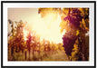 Weinberg im Abendlicht Passepartout 100x70