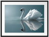 Edler weißer Schwan auf See Passepartout 80x60