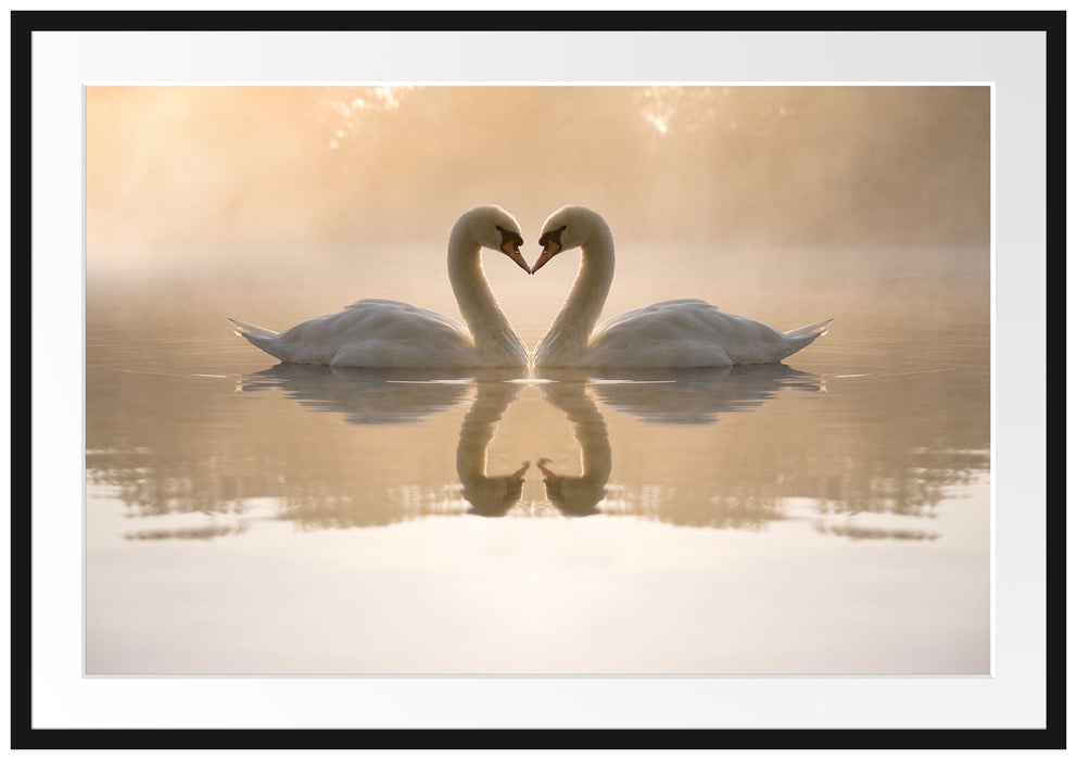 Pixxprint Schwäne im Morgengrauen, im Galerie-Passepartout Bilderrahmen