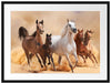 Western Pferde mit Fohlen Passepartout 80x60