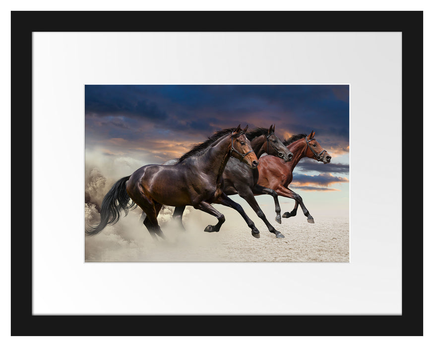 Drei wilde Westernpferde Passepartout 38x30