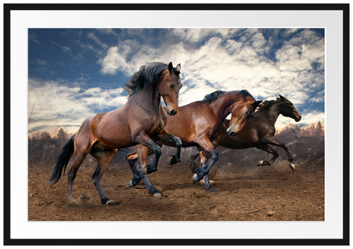 Wilde freie Pferde Passepartout 100x70