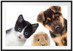 Trio Hund Katze Meerschwein Passepartout 100x70