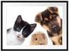 Trio Hund Katze Meerschwein Passepartout 80x60