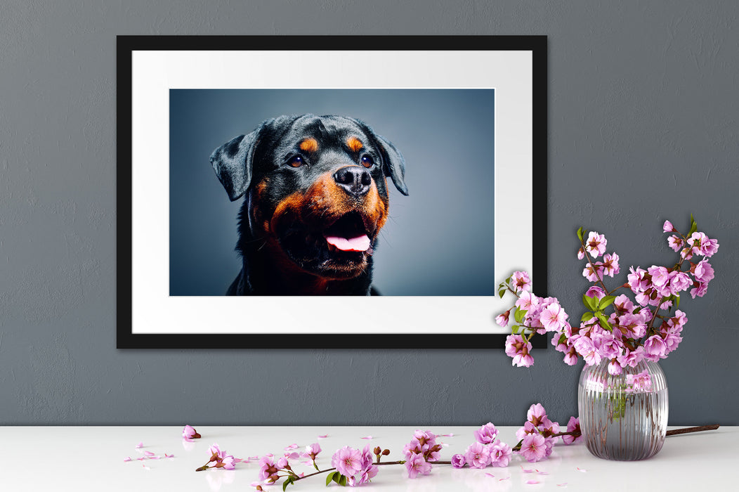 Treuer Rottweiler Passepartout Wohnzimmer