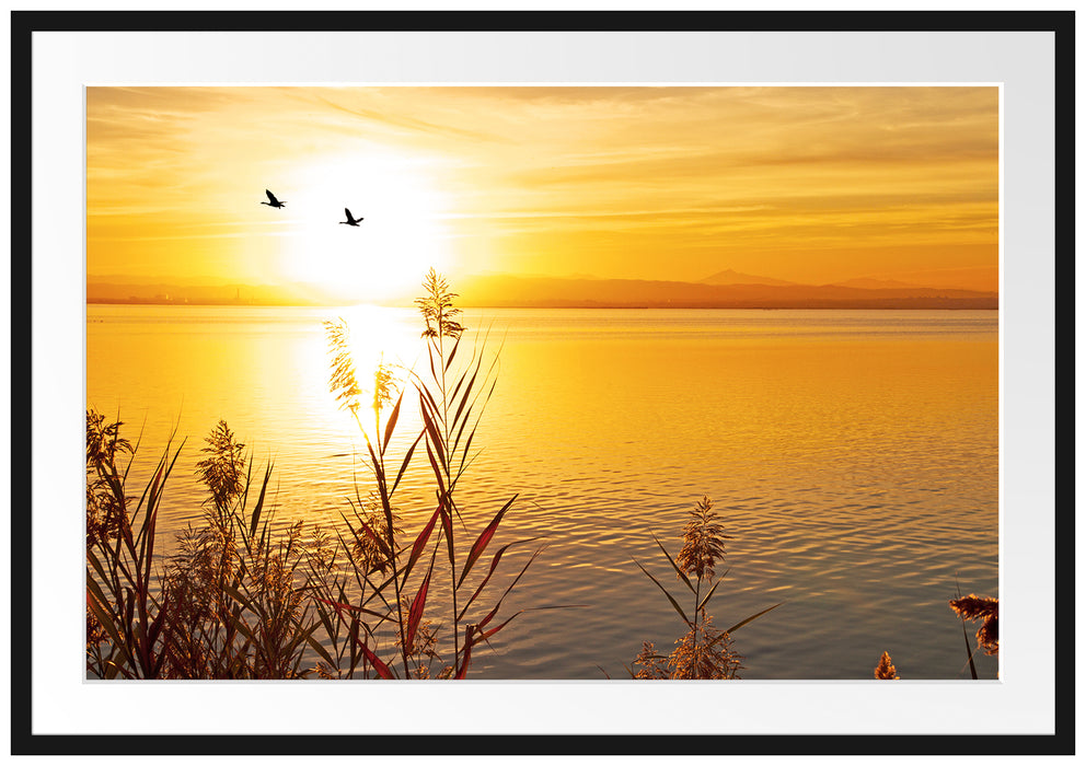 Pixxprint Sonnenuntergang am See, im Galerie-Passepartout Bilderrahmen