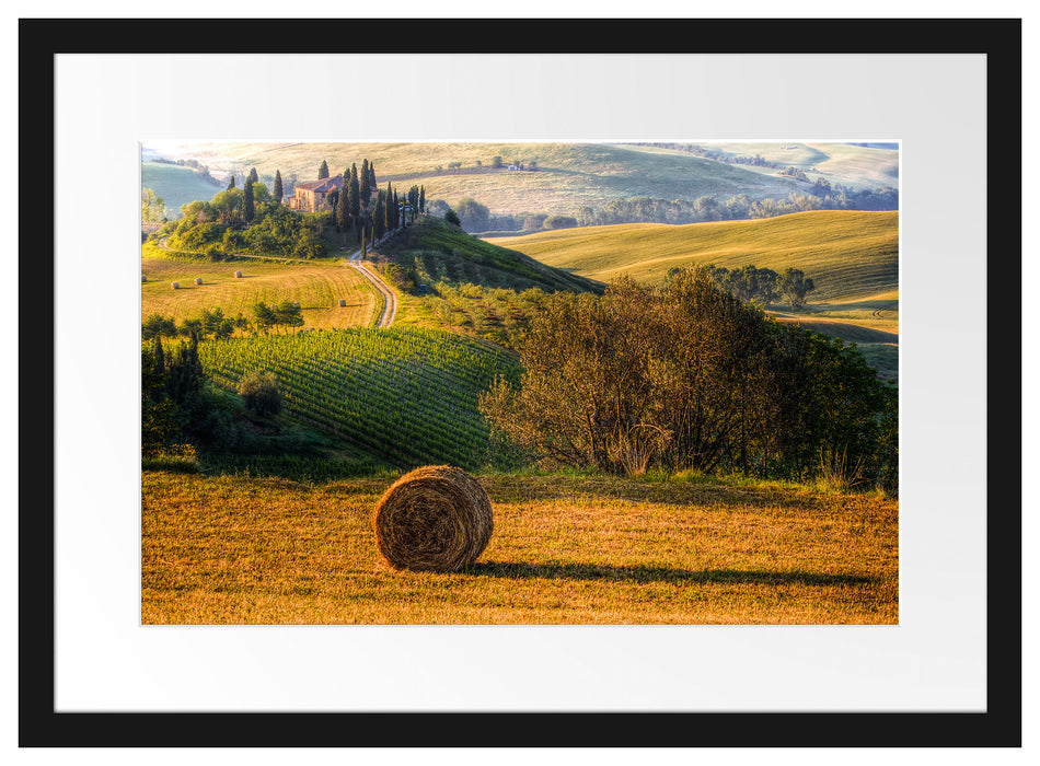 Italienische Toskana Landschaft Passepartout 55x40