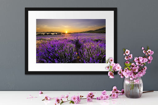 Lavendelfeld in Frankreich Passepartout Wohnzimmer
