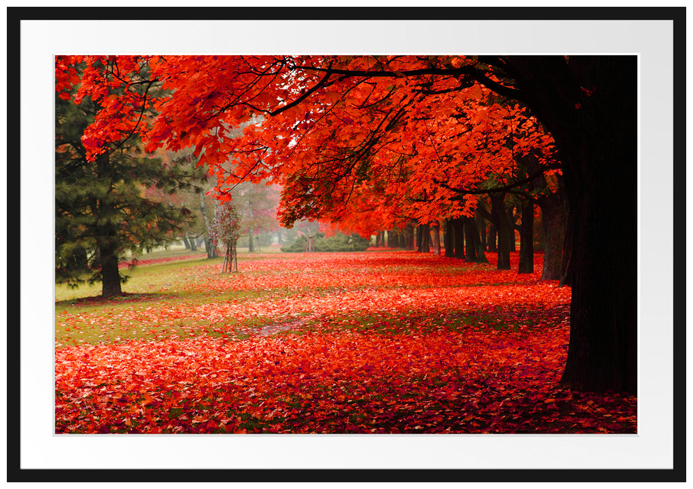 Rot gefärbter Park im Herbst Passepartout 100x70