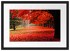 Rot gefärbter Park im Herbst Passepartout 55x40