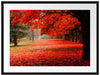 Rot gefärbter Park im Herbst Passepartout 80x60