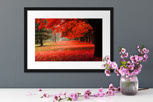 Rot gefärbter Park im Herbst Passepartout Wohnzimmer