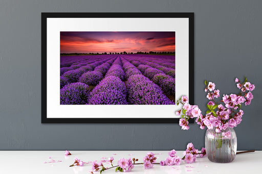 Wunderschöne Lavendel Provence Passepartout Wohnzimmer