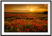 Mohnblütenfeld bei Sonnenuntergang Passepartout 100x70