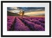 Lavendel Provence mit Baum Passepartout 55x40
