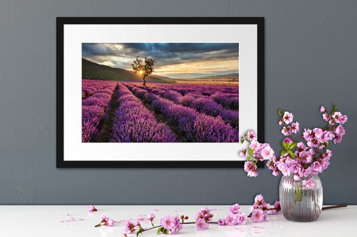 Lavendel Provence mit Baum Passepartout Wohnzimmer