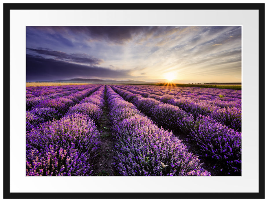 Traumhafte Lavendel Provence Passepartout 80x60