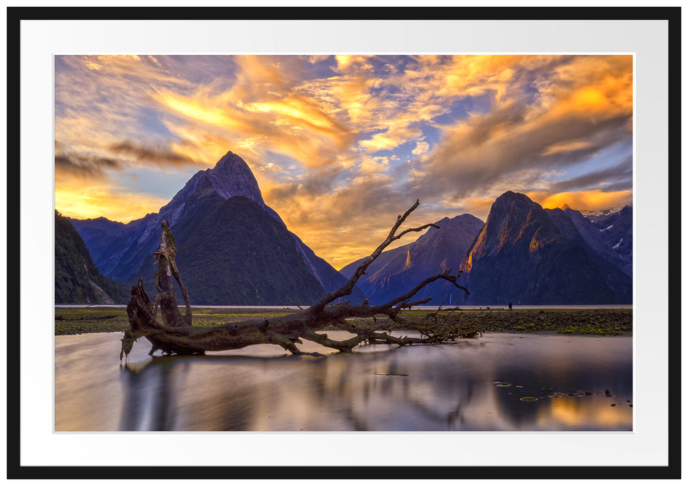 Pixxprint Baum in Berglandschaft, im Galerie-Passepartout Bilderrahmen