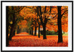 Baumallee im Herbst Passepartout 100x70