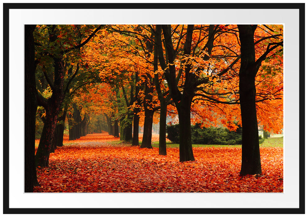 Pixxprint Baumallee im Herbst, im Galerie-Passepartout Bilderrahmen