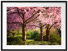 Rosa blühende Kirschbäume Passepartout 80x60