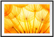 Pusteblumen oranges Licht Passepartout 100x70