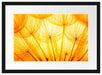 Pusteblumen oranges Licht Passepartout 55x40