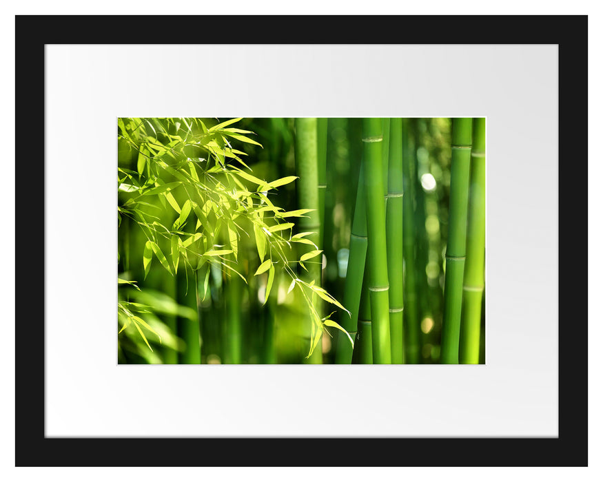 Bambus mit Blättern Passepartout 38x30