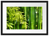 Bambus mit Blättern Passepartout 55x40