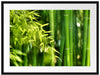 Bambus mit Blättern Passepartout 80x60