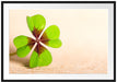 Glücks Kleeblatt mit 4 Blättern Passepartout 100x70