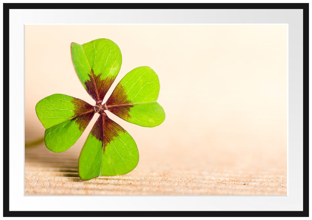 Pixxprint Glücks Kleeblatt mit 4 Blättern, im Galerie-Passepartout Bilderrahmen