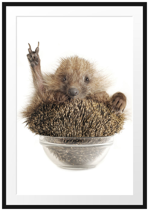 Pixxprint Igel in einer Schüssel Peace, im Galerie-Passepartout Bilderrahmen