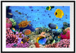 Fische über Korallenriff Passepartout 100x70