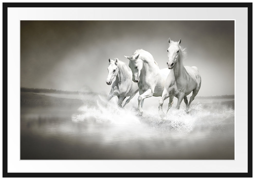 Pferde rennen im Wasser Passepartout 100x70