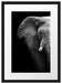 Elefant Porträt Passepartout 55x40