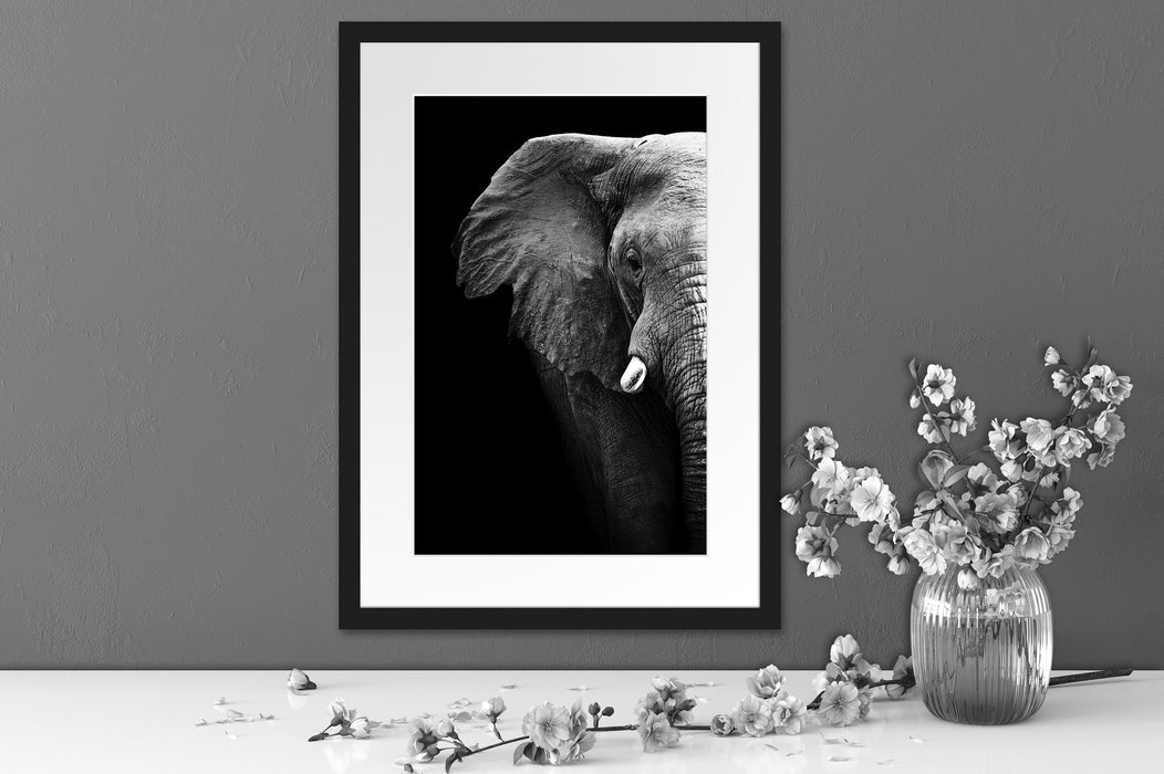 Elefant Porträt Passepartout Wohnzimmer