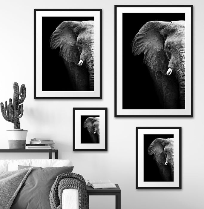 Elefant Porträt Passepartout Dekovorschlag