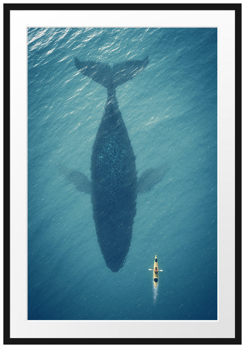 Pixxprint Riesiger Wal Schatten, im Galerie-Passepartout Bilderrahmen