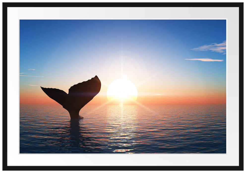Walflosse im Sonnenuntergang Passepartout 100x70