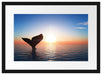 Walflosse im Sonnenuntergang Passepartout 55x40