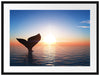 Walflosse im Sonnenuntergang Passepartout 80x60