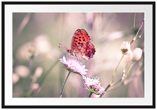 Bezaubernder Schmetterling Passepartout 100x70