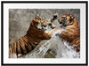 Kämpfende Tiger im Wasser Passepartout 80x60