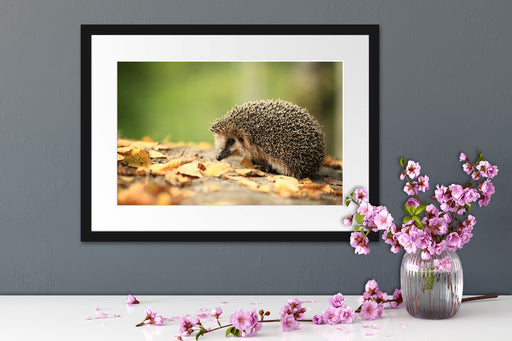 Igel im Laub Passepartout Wohnzimmer