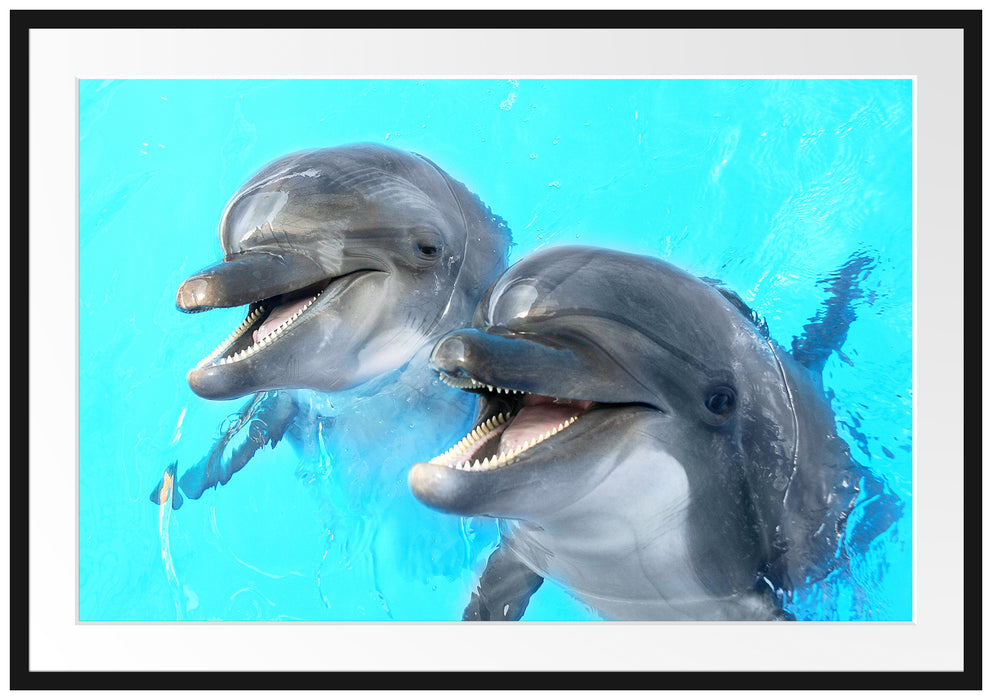 Delfinpaar Passepartout 100x70