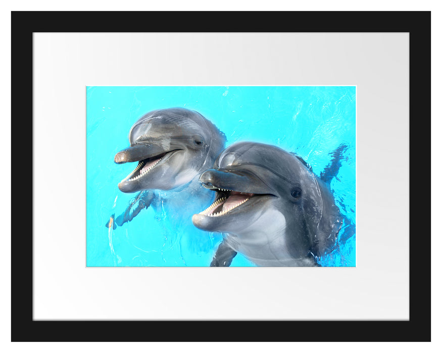 Delfinpaar Passepartout 38x30